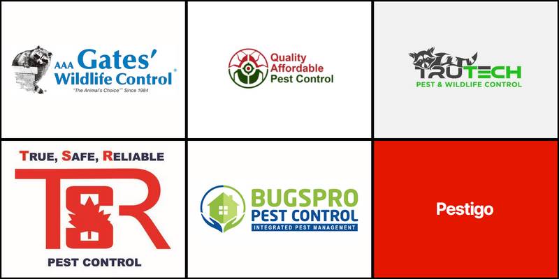 The best pest control in Toronto include Quality Affordable Pest Control (QAPC), TruTech, and BugsPro.