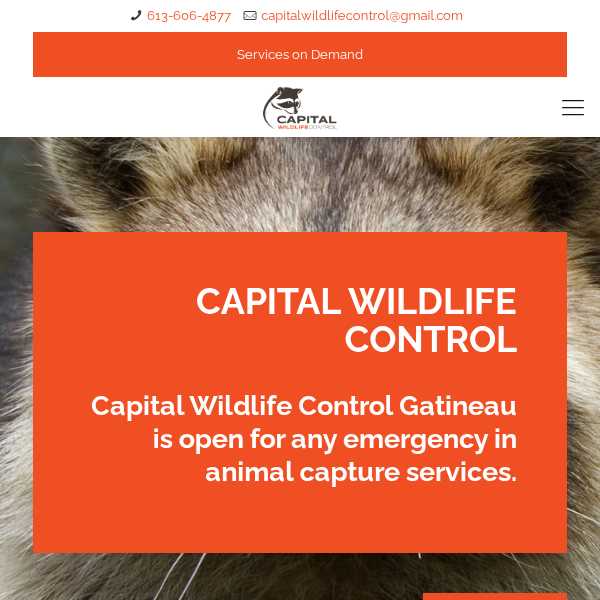 Capital WildLife Control