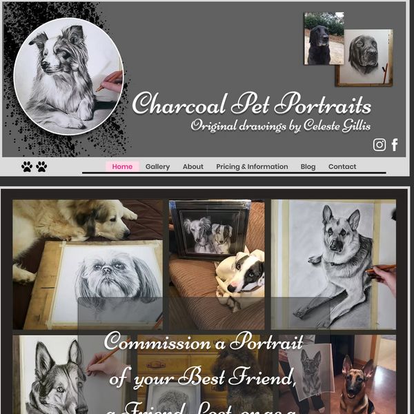 Charcoal Pet Portraits