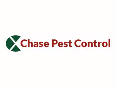 Chase Pest Control is one of the best pest control companies in Toronto.