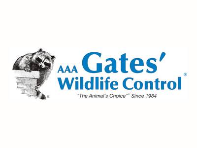 Gates Wildlife Control is one of the best pest control companies in Toronto.