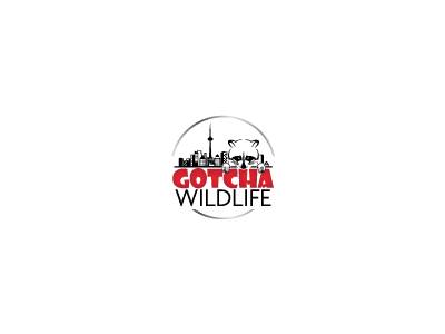 Gotcha Wildlife is one of the best pest control companies in Toronto.