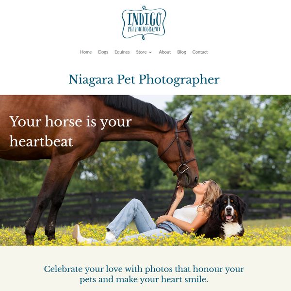 Indigo Pet Photography