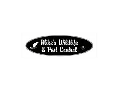 Mike's Wildlife & Pest Control is one of the best pest control companies in Toronto.