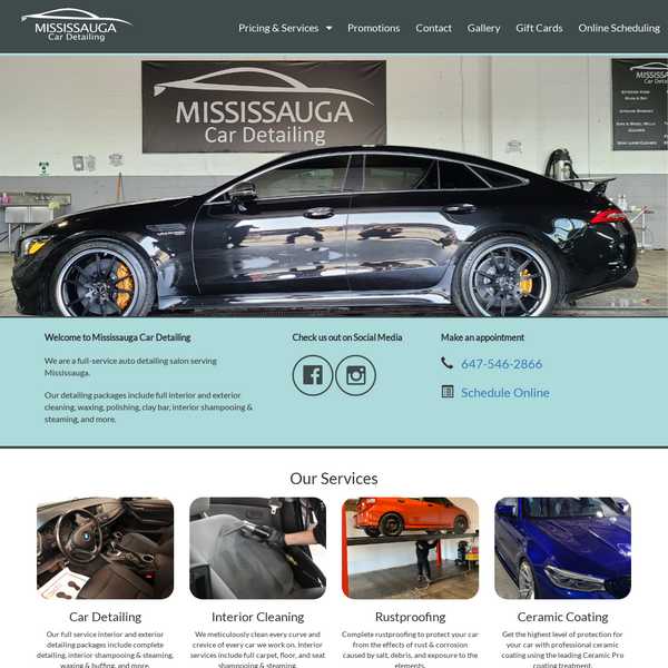 Mississauga Car Detailing