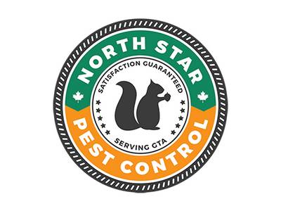 North Star Pest Control is one of the best pest control companies in Toronto.