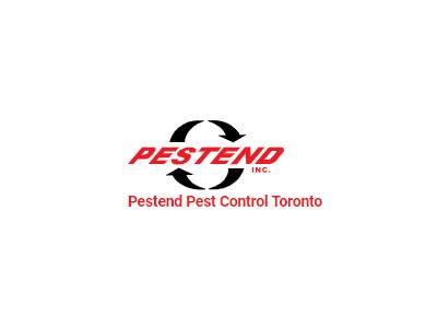 Pestend is one of the best pest control companies in Toronto.