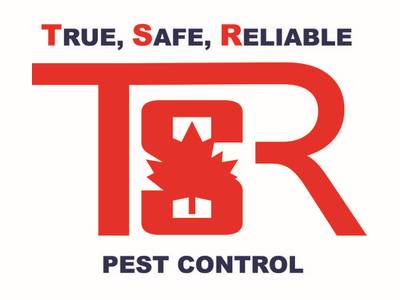 TSR Pest Control is one of the best pest control companies in Toronto.