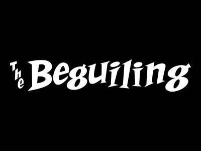 The Beguiling Books & Art Inc is one of the Toronto manga stores.